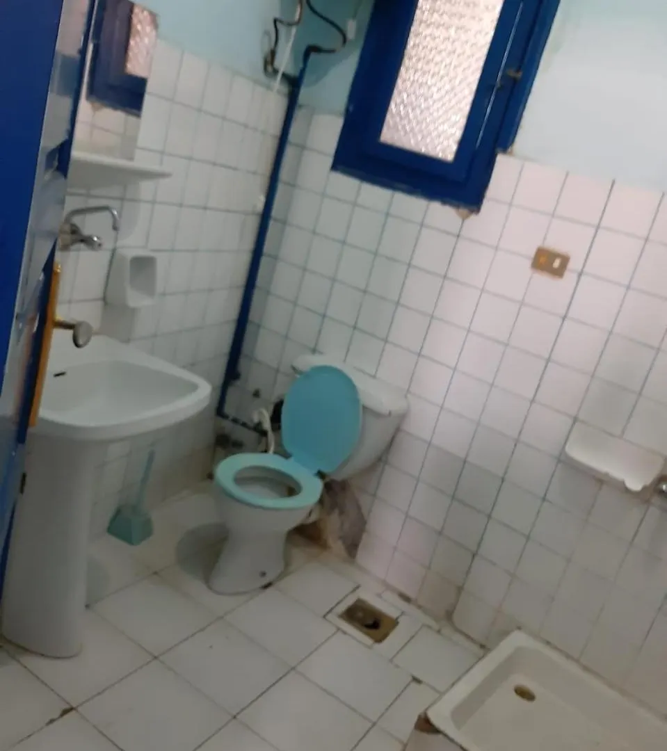 **  לוקסור Oasis Hotel מצרים